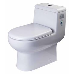 Click here to see Eago TB351 EAGO TB351 One Piece Elongated Toilet - White