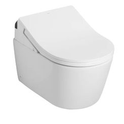 Click here to see Toto CWT4474047CMFG#MS TOTO RP Wall-Hung D-Shape Toilet with RX Bidet Seat and DuoFit In-Wall 1.28 and 0.9 GPF Dual-Flush Tank System, Matte Silver - CWT447247CMFG#MS