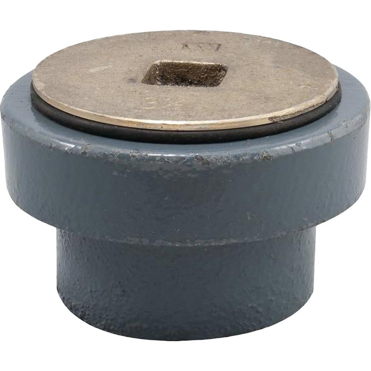 WATTS CO382 2" CLEAN OUT GENERAL W/BRASS PLUG PlumbersStock