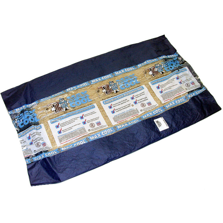 Dial 3008 Dial 3008 30x36 Inches MaxCool Aspen Pad