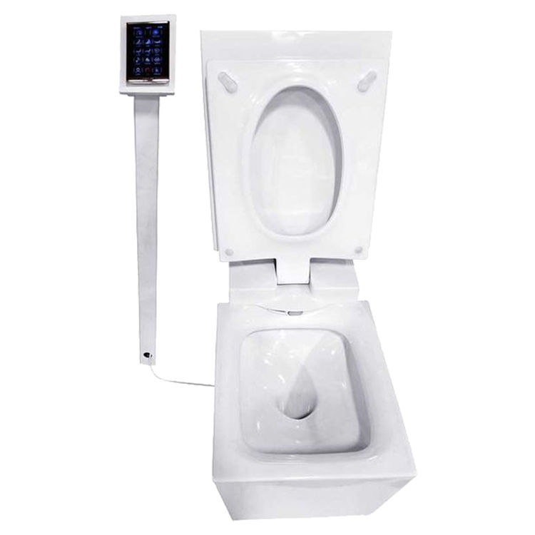 Kohler K 3901 Npr 0 Numi One Piece Elongated Dual Flush