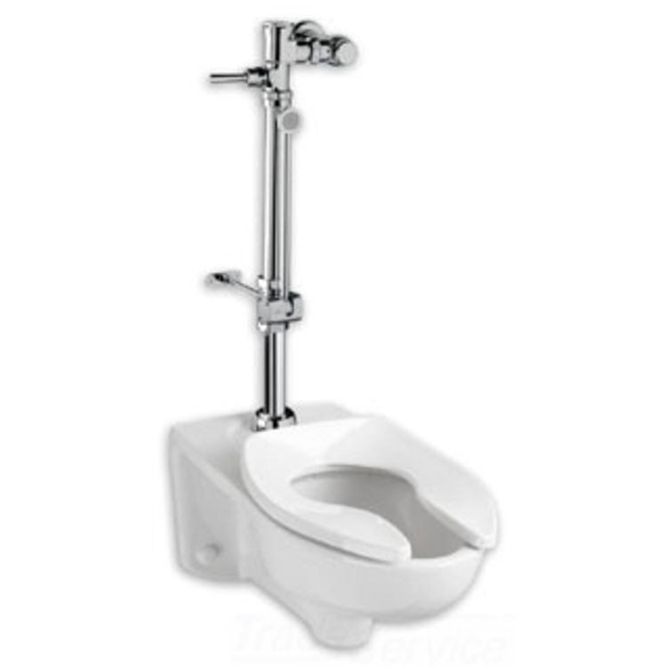 American Standard 6047.821.002 American Standard 6047.821.002 Exposed Toilet Flush Valve, Chrome